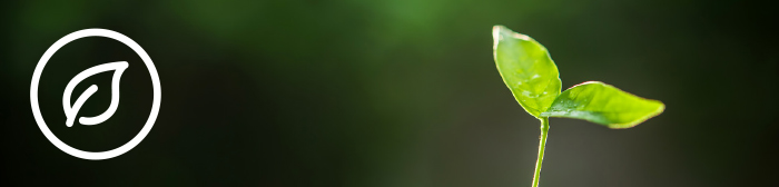 %7Bd4a24ad1-5a7d-4220-ad08-dfa75d10b741%7D_Pillar_banner_Natural.jpg