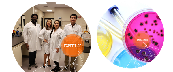 %7Bee6031cb-6f33-41ba-b91f-c50d59bc762c%