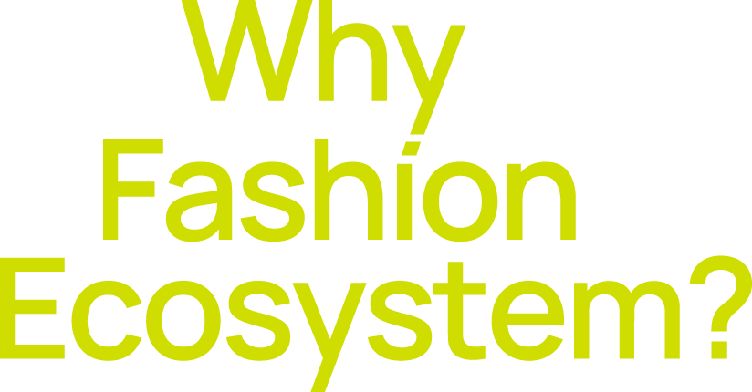 Why fashion ecosystem?