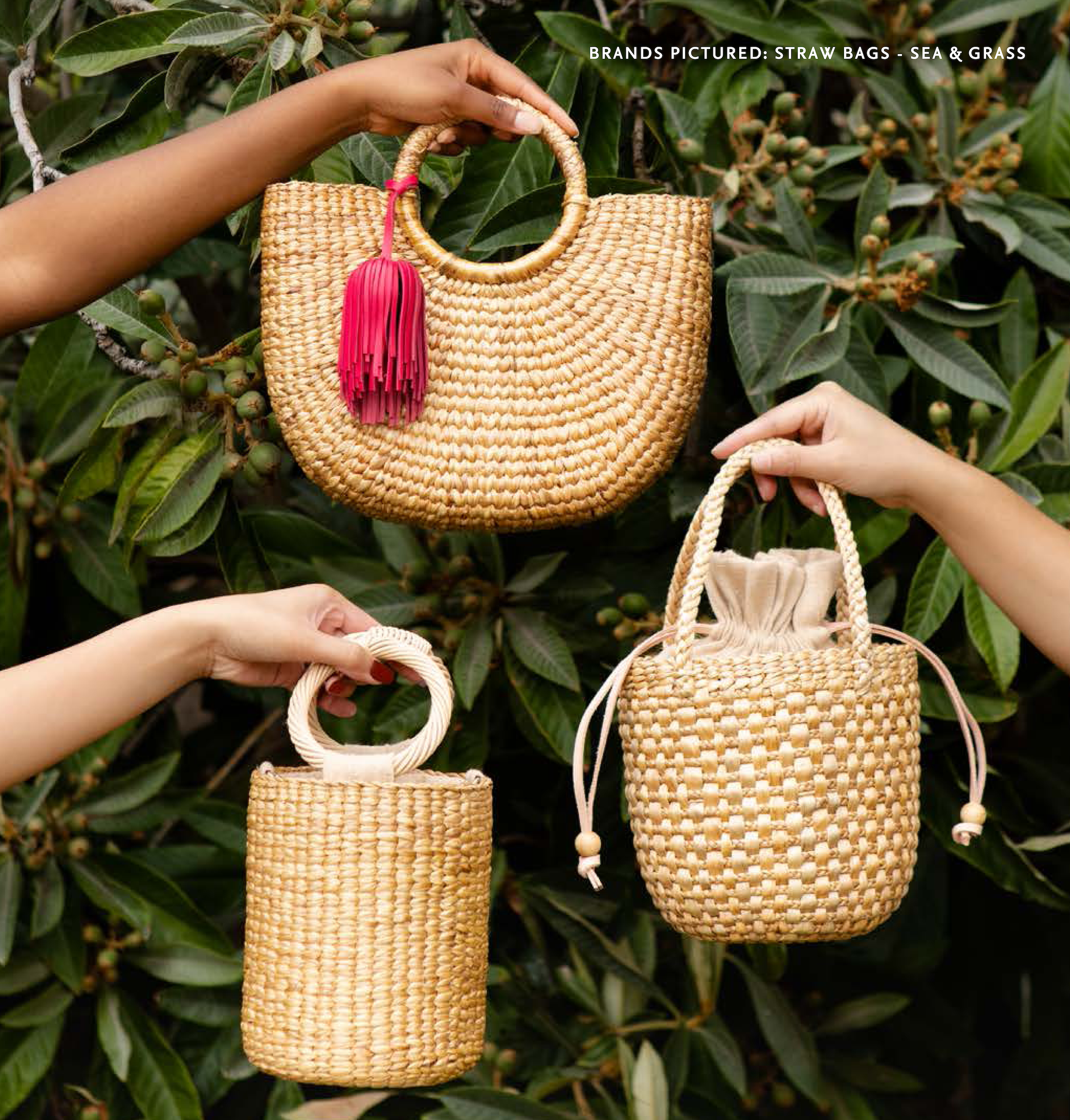 IMF Shopping Guide