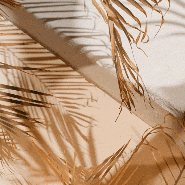 destination:miami by COTERIE