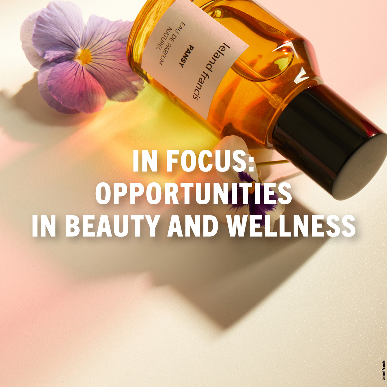In focus: Opportunities in beauty and wellness