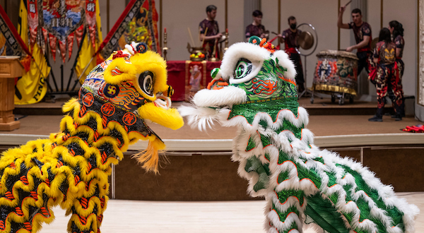 Members of Zhong Yi Kung Fu Association (of Madison) perform a lion dance during a Lunar New Year celebration hosted by the Vietnamese Student Association (VSA) in the Memorial Union’s Great Hall at the University of Wisconsin–Madison campus.