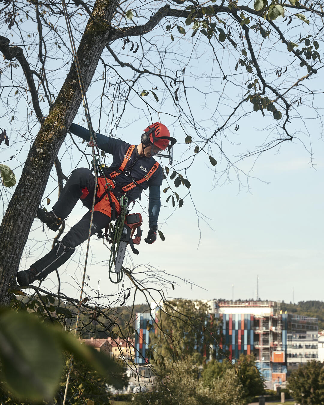 Tree Professional