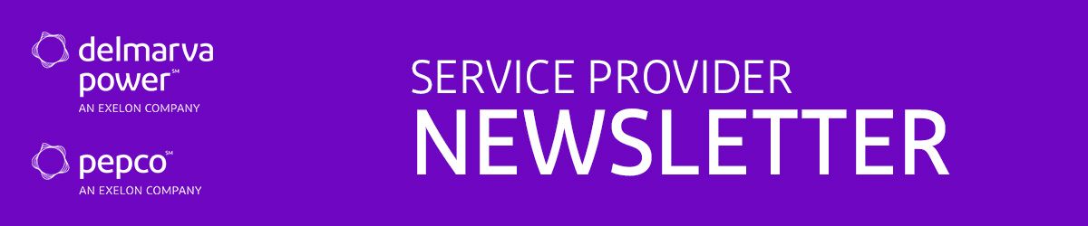 Service Provider Newsletter