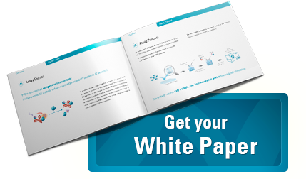 Download IP-One White Paper