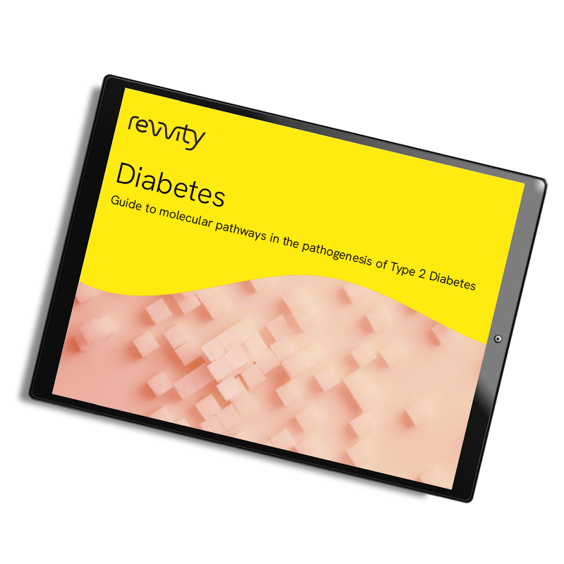 Guide: A comprehensive listing of Type II diabetes pathways