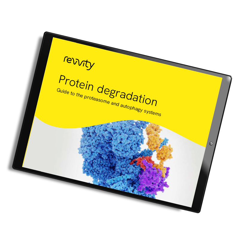 Exclusive guide to protein degradation