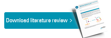 Download your literature review here