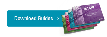 Download Guides