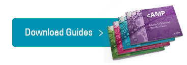 Download Guides