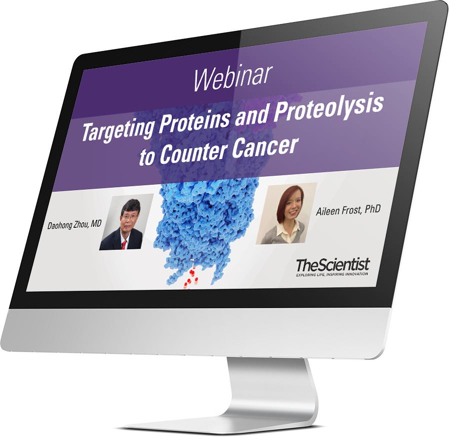 Preview: Targeting Proteins and Proteolysis to counter Cancer