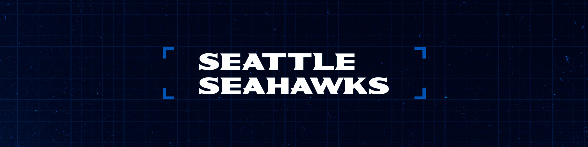 Seahawks Banner