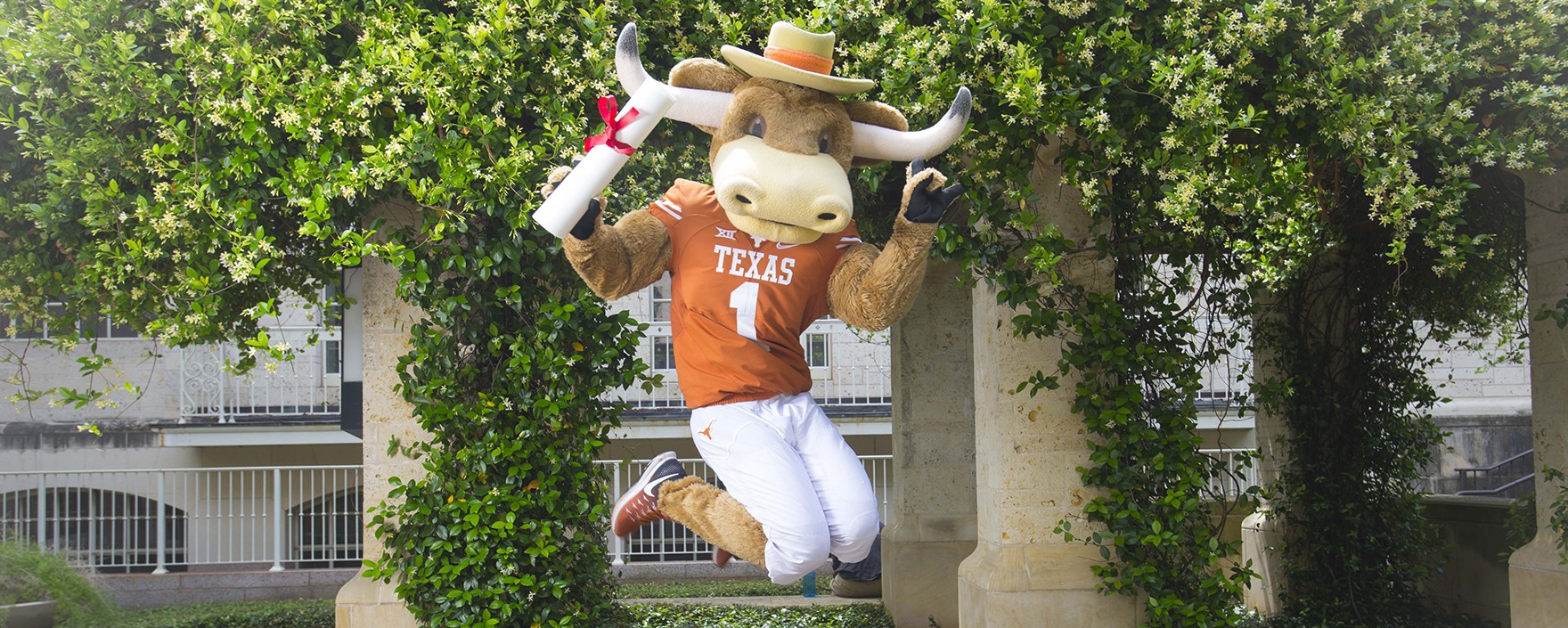 Bevo mascot jumping with diploma in hand