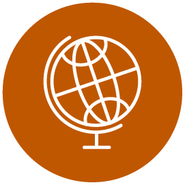 Globe icon