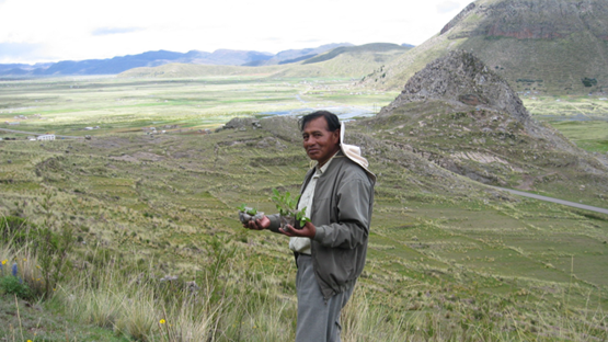 A person in a mountainous field holds potatoes.