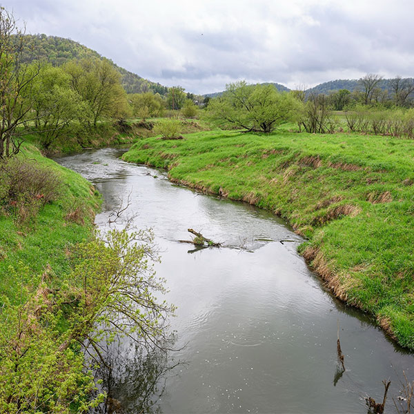 Coon Creek in Coon Valley, Wisconsin.