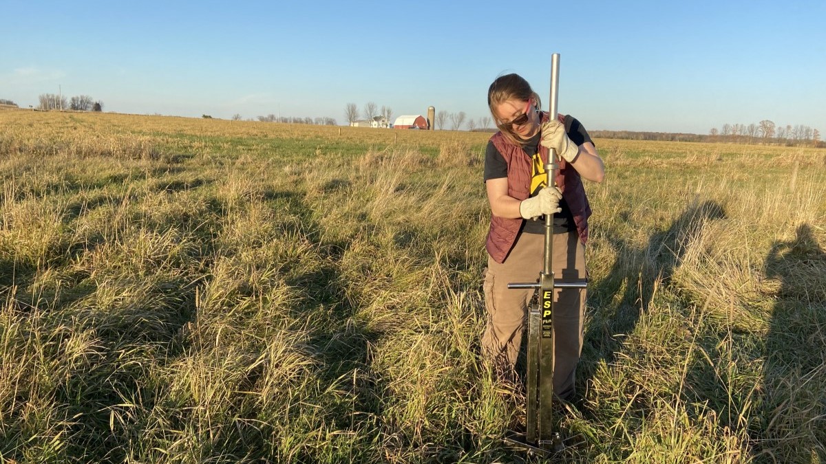 Clare Dietz is pictured working in a field as the sun sets.