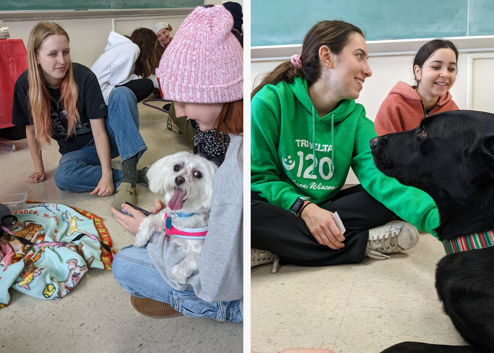 Left: a student with a pink hat holding a small white dog. Right: A student with a green hoodie and a black lab looking at each other.