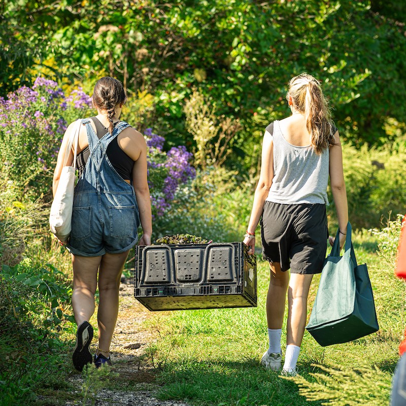 Two people walk outside and carry a basket.