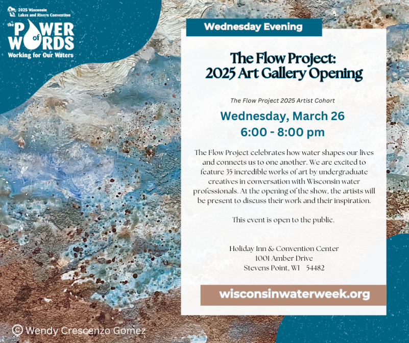 The Flow Project 2025 Art Gallery Opening advertisement