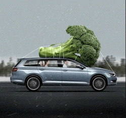 Broccoli on a car
