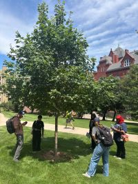 A group of students stands around a tree