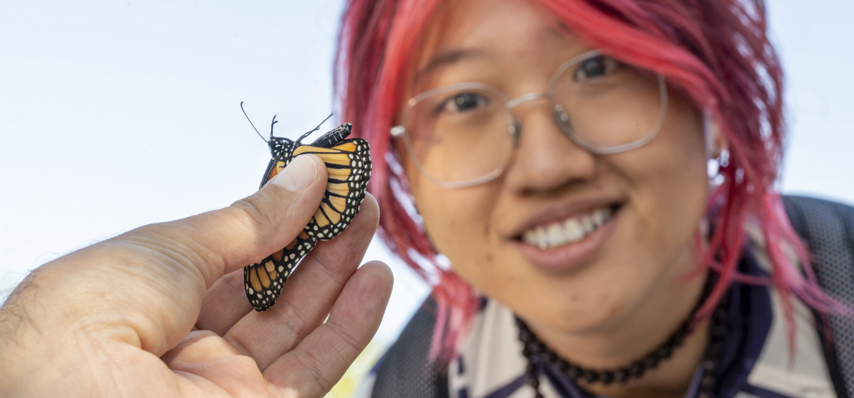 Student looking at monarch butterfly.