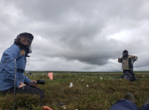 Katie Braun crouches on the ground with a soil moisture probe in her hand