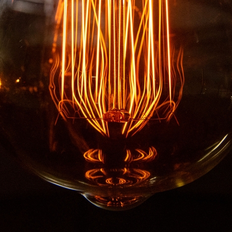 Close-up image of "The Power, the Shiver, the Anthropocene"