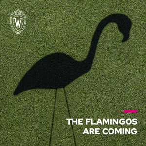 Fill the Hill Save the Date