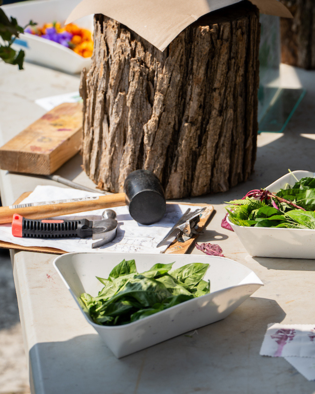 Supplies for a flower pounding workshop at Allen Centennial Gardens.