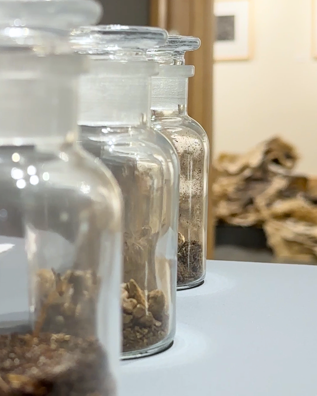 Art installation featuring soil samples in UW–Madison MFA Candidate Alexandra Riesco's exhibition, "Pathways."