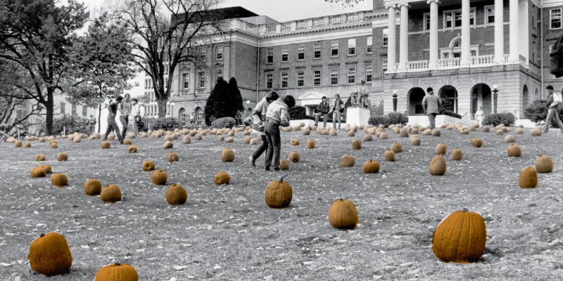 Students pick pumpkins from Bascom Hill. Bascom Hall is in the background, ca. 1982. Photo courtesy of UW Archives / Smith, Gary E.