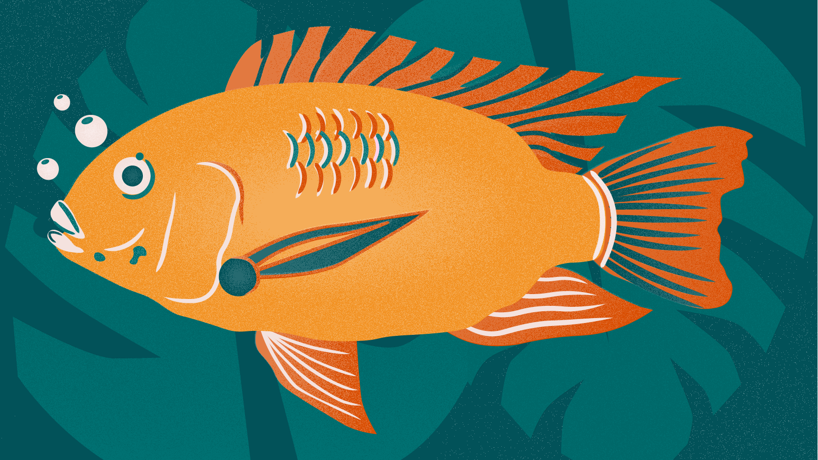 Illustration of a fish blowing bubbles with a plant in the background.