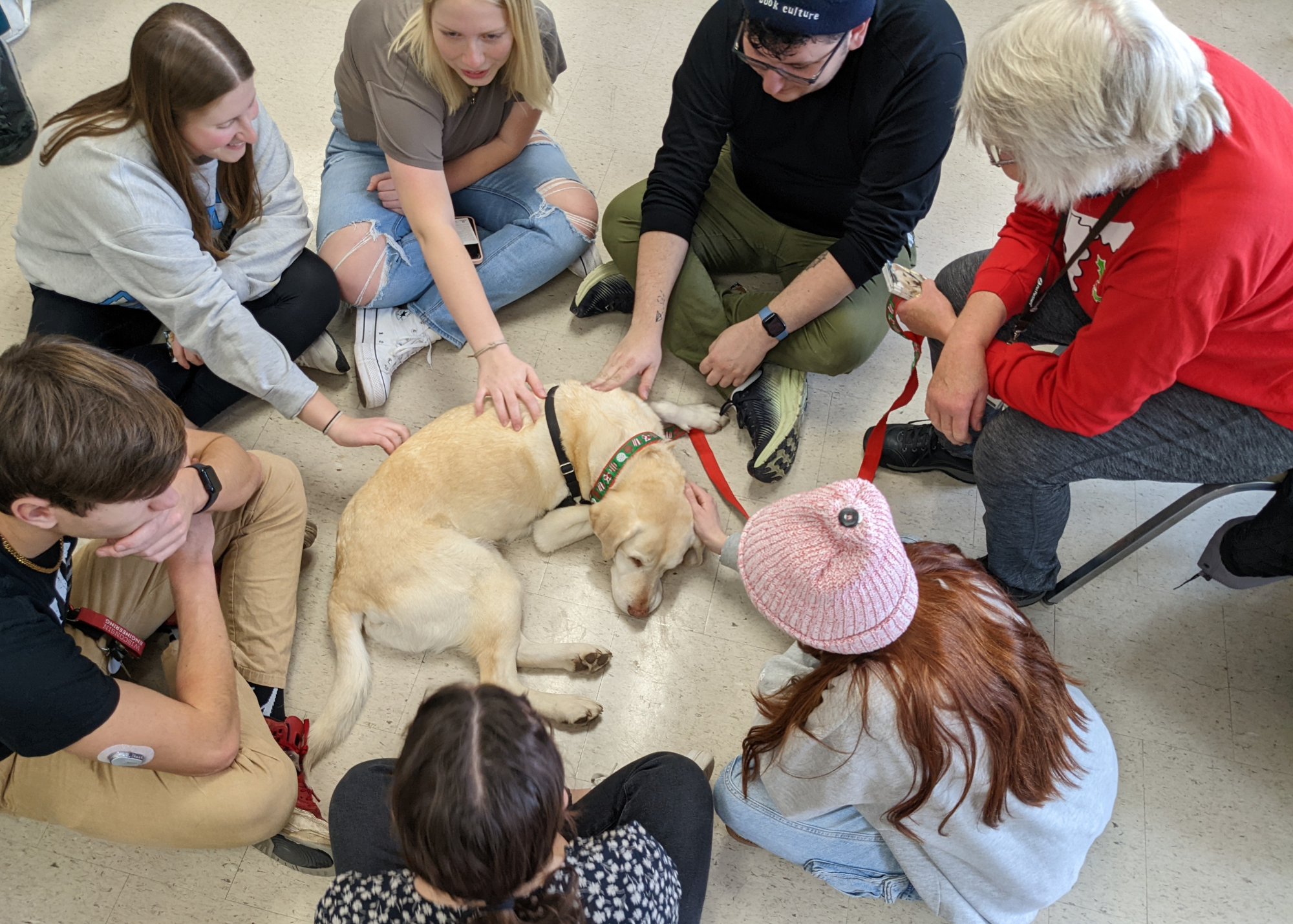 Students crowding around a yellow lab to pet it.