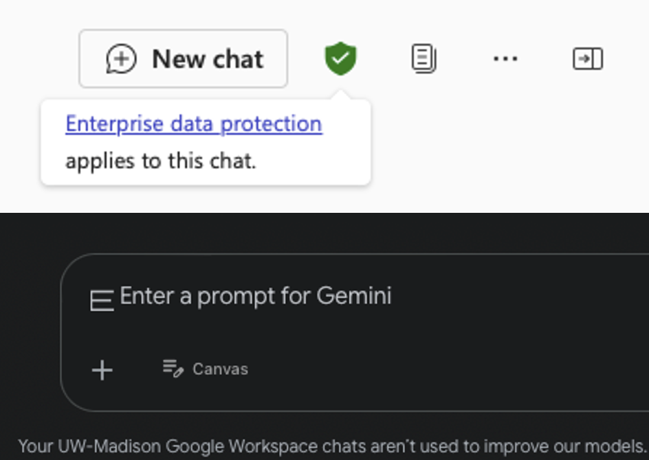 A screenshot showing the Enterprise Data Protection user interface message that Copilot and Gemini show.