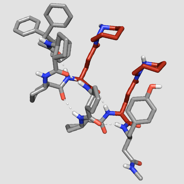 Digital rendering of a Foldamer.