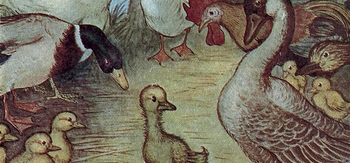 Classic book illustration of The Ugly Duckling.