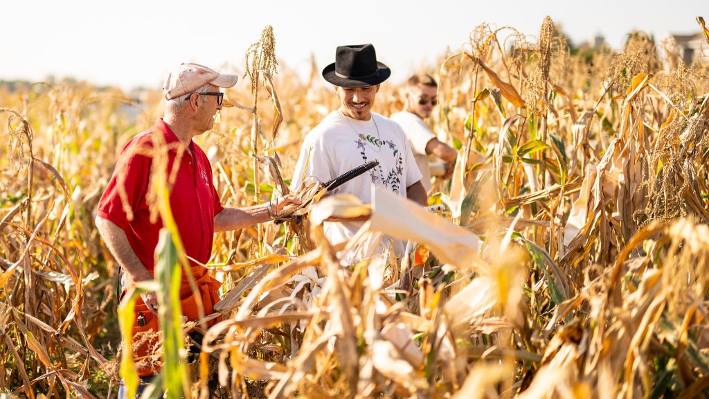 Two people speak in a corn field.