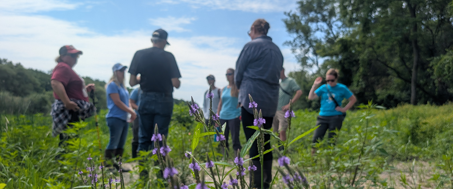 Focus is on a plant in the foreground with tiny purple flowers on slender cone-shaped stems. The background is blurred and includes nine people standing in an outdoor setting with green plants surrounding them and large oaks further back with a blue sky with white clouds.
